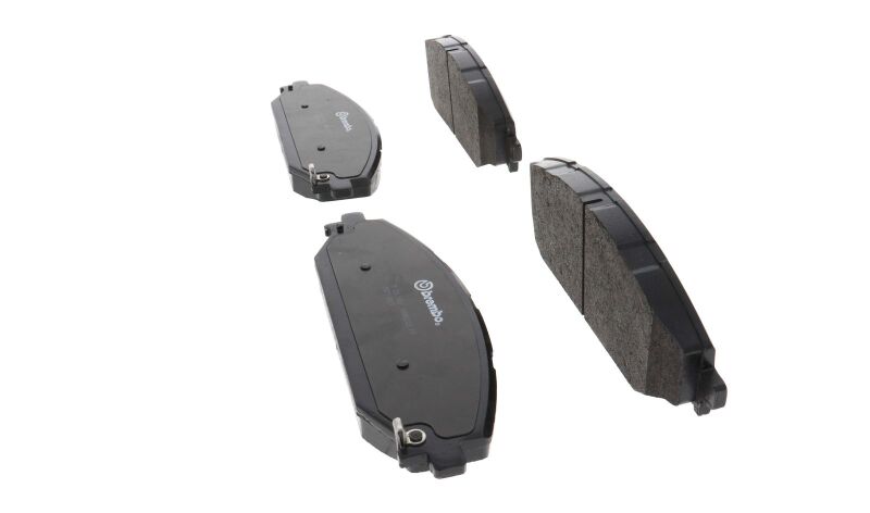 Photo - Close Up