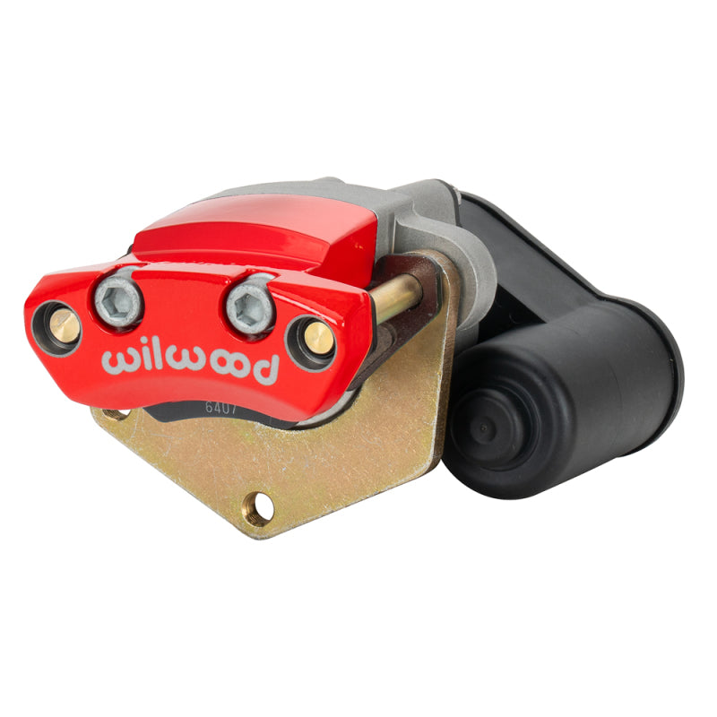 Photo - Primary