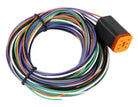 RIFE 6 Wire Harness for Dual/Triple/Quad Pressure Sensors-RIFE-Motion Raceworks
