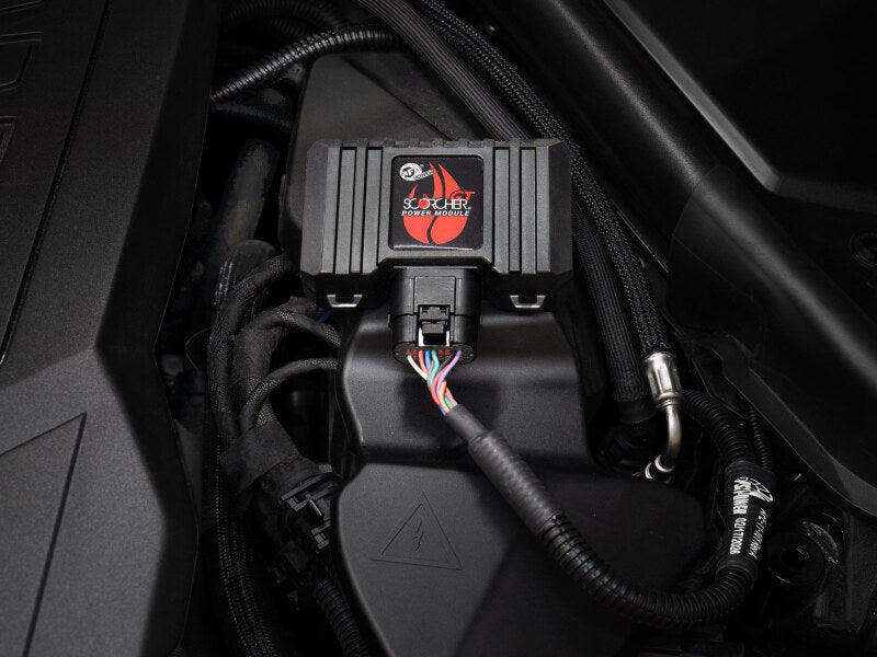 Photo - Mounted