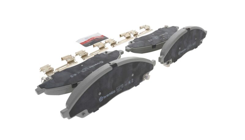 Photo - Close Up